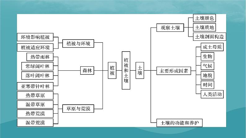 2023年新教材高中地理章末整合提升5第5章植被与土壤课件新人教版必修第一册03