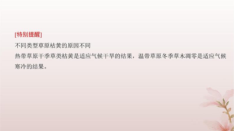 2024届高考地理一轮总复习第一部分自然地理第六章自然环境的整体性与差异性第17讲植被和土壤课件08