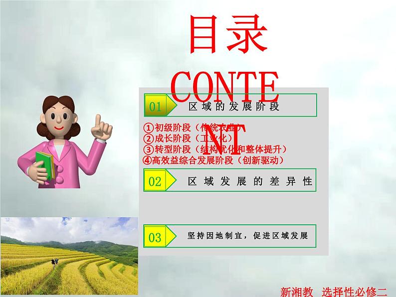 1.2 区域发展差异与因地制宜-高二地理上册同步课件（湘教版选择性必修2）第3页