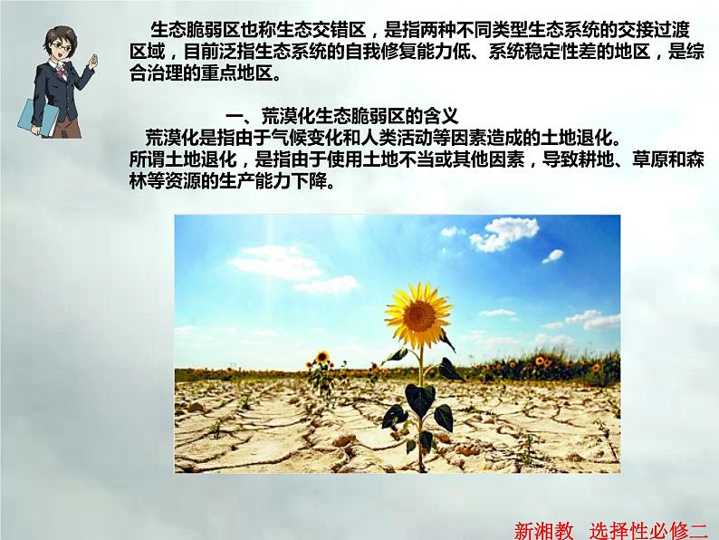 2.4 生态脆弱区的综合治理—以我国荒漠化地区为例-高二地理上册同步课件（湘教版选择性必修2）06