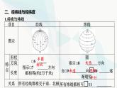 2024届高考地理一轮复习第一章地球与地图第一节经纬网和地图课件