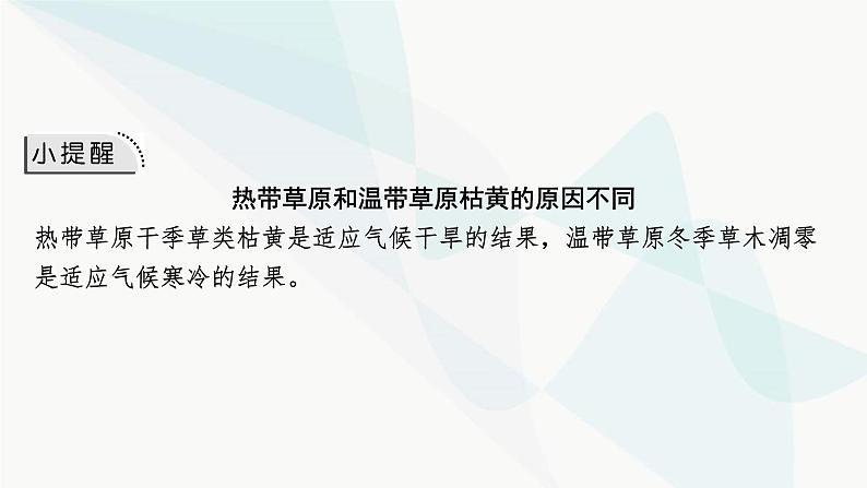 2024届高考地理一轮复习第六章自然环境的整体性与差异性第一节植被与土壤课件07