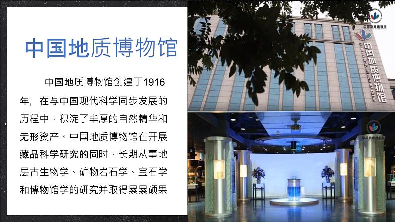 【大单元】1.3地球的历史 课件+教案+练习 （人教2019必修第一册）04