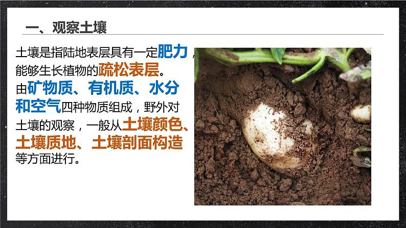 【大单元】5.2土壤 课件+教案+练习 （人教2019必修第一册）06