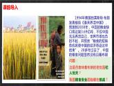 【核心素养】2.3 中国的耕地资源与粮食安全 课件+教案+素材 人教版2019高中地理选择性必修三