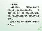 新教材2023高中地理第二章自然资源的开发利用与国家安全第一节中国耕地资源与粮食安全课件中图版选择性必修3