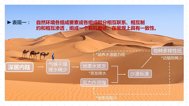 新湘教版地理高中选择性必修一 5.1《自然环境的整体性》课件第5页