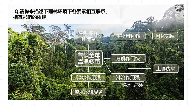 新湘教版地理高中选择性必修一 5.1《自然环境的整体性》课件第6页