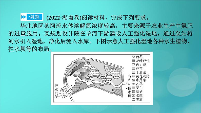 新高考适用2024版高考地理一轮总复习第4部分资源环境与国家安全第1章自然环境与人类社会考点3环境问题及其危害课件08