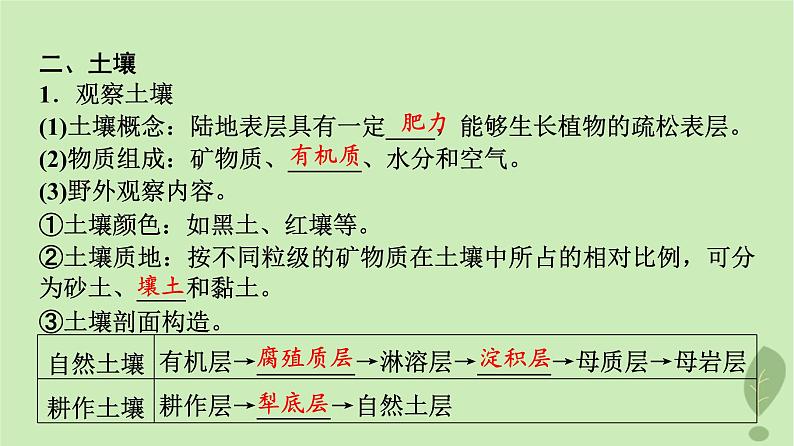 2024版高考地理一轮总复习第5章自然环境的整体性与差异性第1节植被与土壤课件07