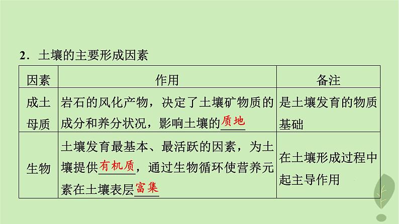 2024版高考地理一轮总复习第5章自然环境的整体性与差异性第1节植被与土壤课件08