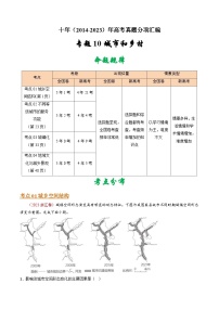 十年(14-23)高考地理真题分项汇编专题10 城市和乡村（2份打包，原卷版+解析版）