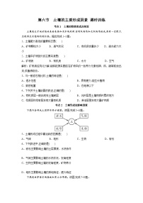 中图版 (2019)必修 第一册第六节 土壤的主要形成因素优秀练习题