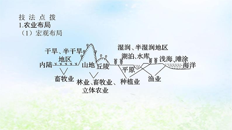 2024版新教材高考地理全程一轮总复习第二部分人文地理第十三章产业区位选择第60课时农业布局课件湘教版第7页