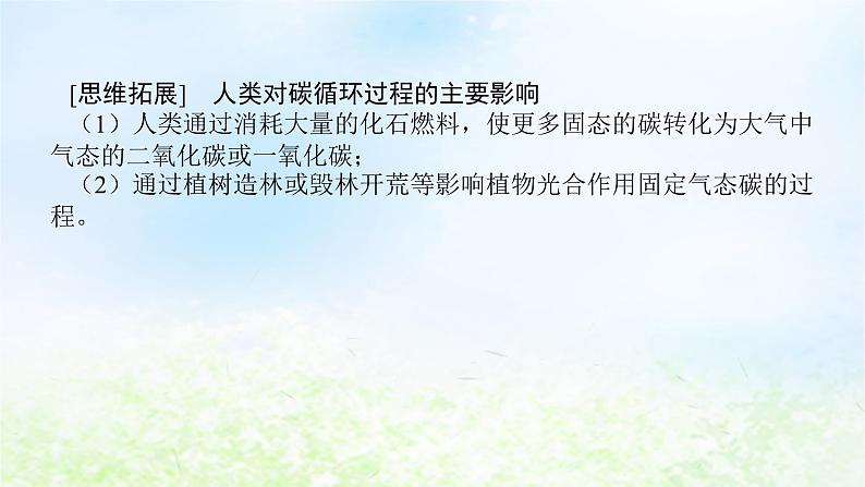 2024版新教材高考地理全程一轮总复习第四部分资源环境与国家安全第二十章生态环境保护与国家安全第87课时碳排放与国际减排合作课件湘教版06