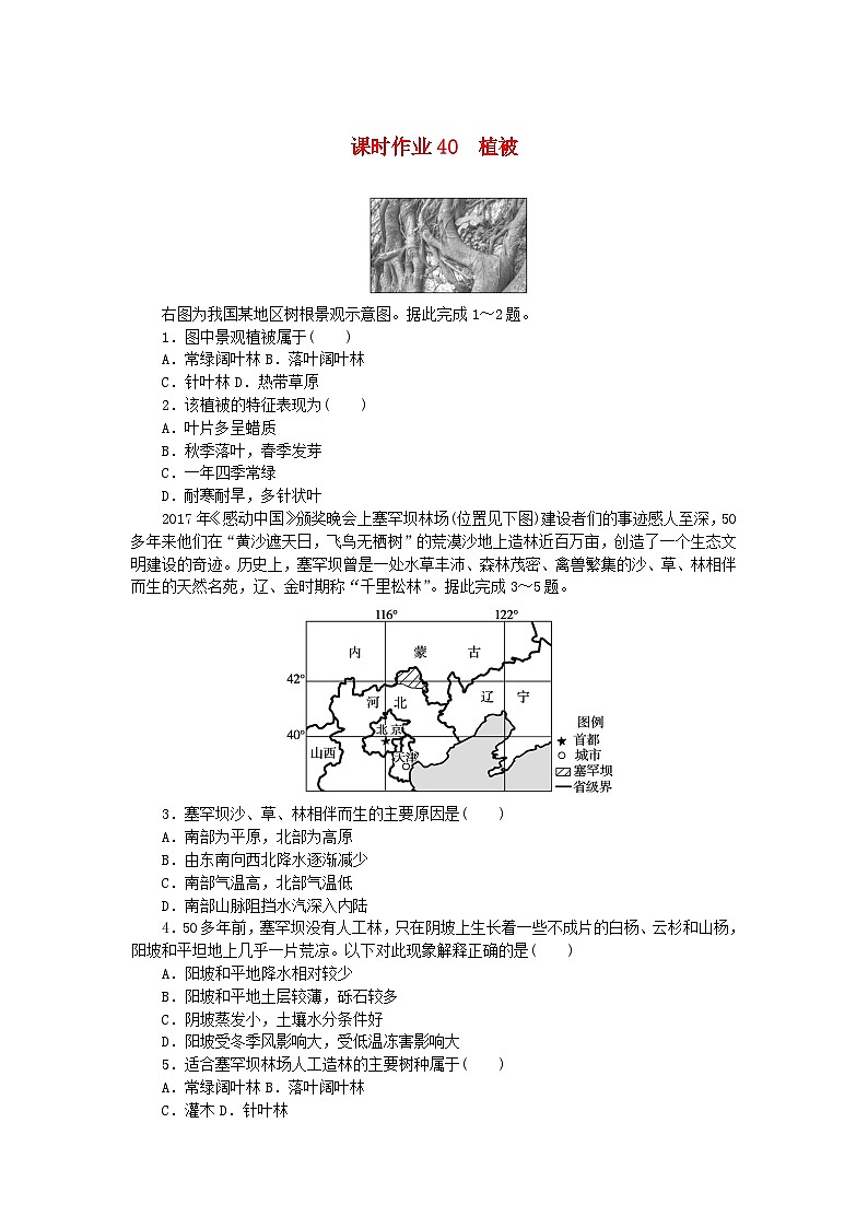 2024版新教材高考地理全程一轮总复习课时作业40植被新人教版01