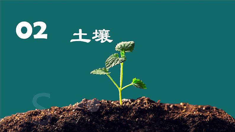 考点08 植被与土壤（第2课时）-【一轮夯基】备战2024年高考地理一轮复习优质课件（通用版）第5页