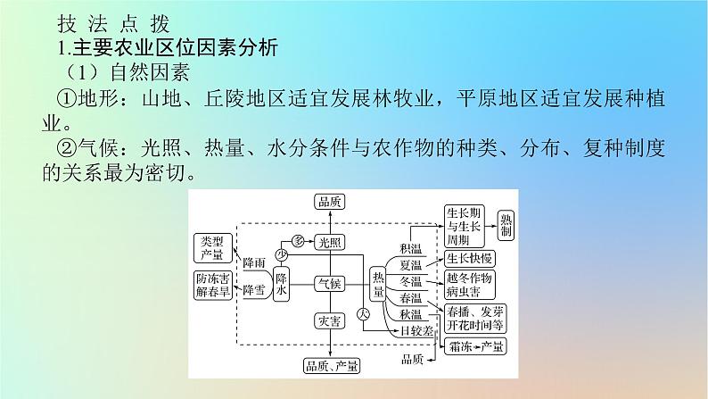 2024版新教材高考地理全程一轮总复习第二部分人文地理第十三章产业区位选择第58课时农业区位因素课件新人教版08