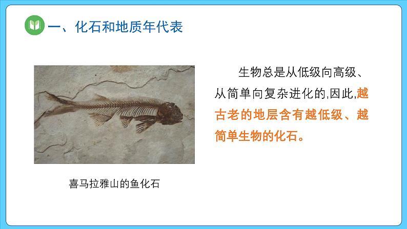 1.3.地球的历史（课件） 2023-2024学年高中地理人教版(2019)必修一07