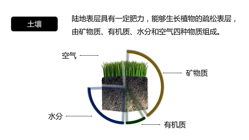 5.2 土壤  人教版高中地理必修第一册课件PPT03