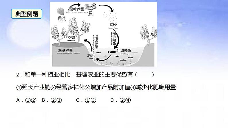 06 基塘农业-备战2023年高考地理二轮复习热门考点突破课件PPT第8页