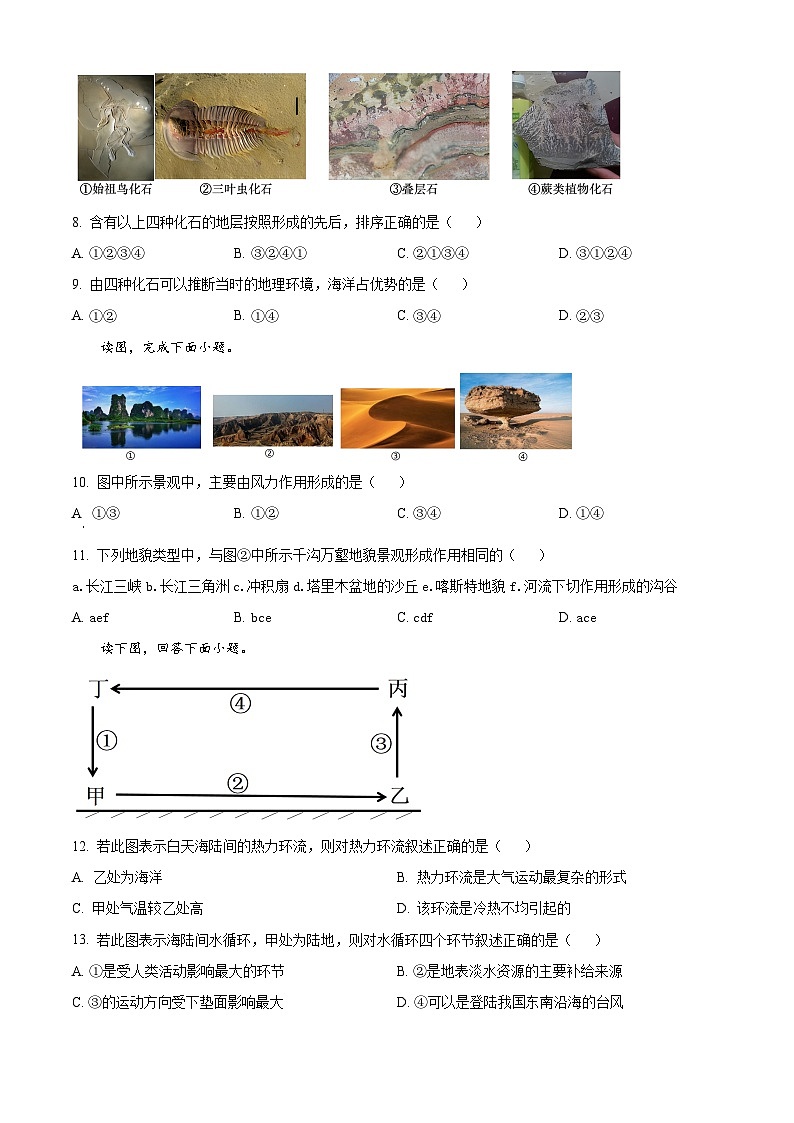 2023天津宁河区芦台一中高一上学期期末地理试题含解析03