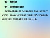 2023新教材高中地理第四章地貌第一节常见地貌类型第一课时喀斯特地貌与河流地貌作业课件新人教版必修第一册