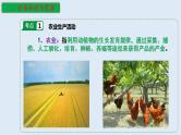 专题23 农业生产活动（精品课件）-备战2023年高考地理一轮复习全考点精讲练（浙江专用）