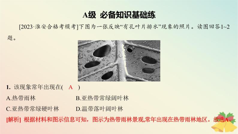 江苏专版2023_2024学年新教材高中地理第五章地球上的植被与土壤第一节主要植被与自然环境分层作业课件湘教版必修第一册03