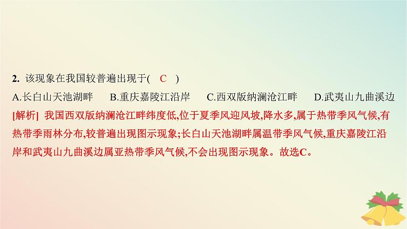 江苏专版2023_2024学年新教材高中地理第五章地球上的植被与土壤第一节主要植被与自然环境分层作业课件湘教版必修第一册第4页