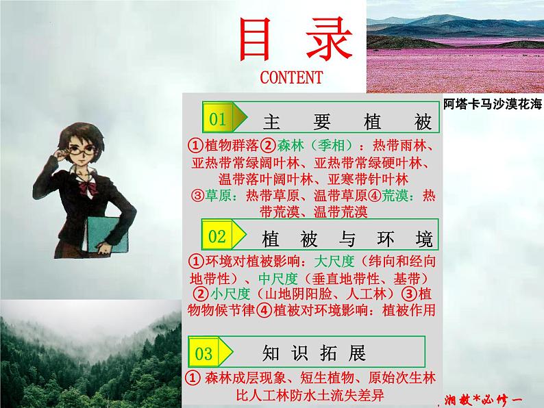 5.1 主要植被与自然环境-高一地理上册同步备课系列（湘教版必修第一册）课件PPT03