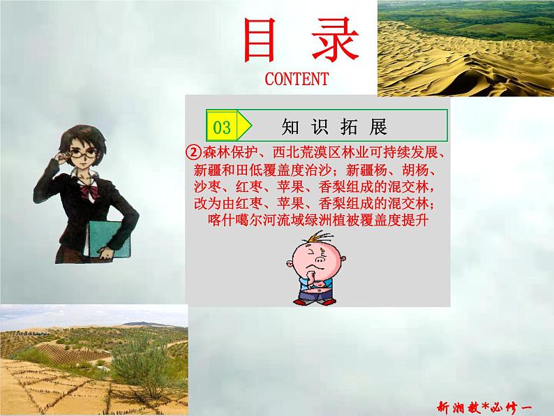 5.1 主要植被与自然环境-高一地理上册同步备课系列（湘教版必修第一册）课件PPT04