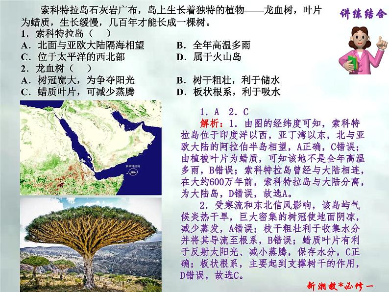 5.1 主要植被与自然环境-高一地理上册同步备课系列（湘教版必修第一册）课件PPT07