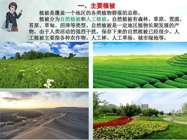 5.1 主要植被与自然环境-高一地理上册同步备课系列（湘教版必修第一册）课件PPT08