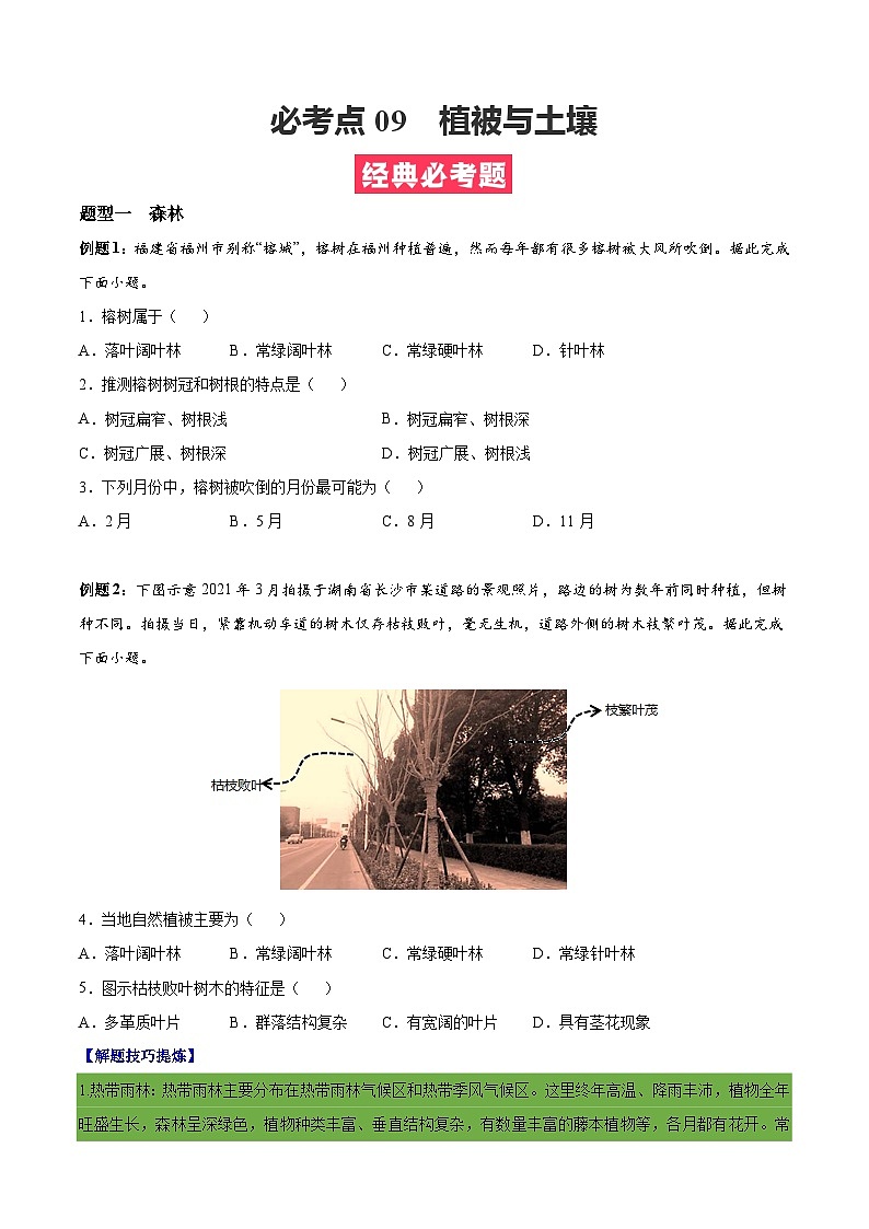 必考点09  植被与土壤（原卷版）第1页
