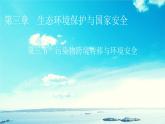 湘教版高中地理选择性必修3第3章第3节污染物跨境转移与环境安全教学课件