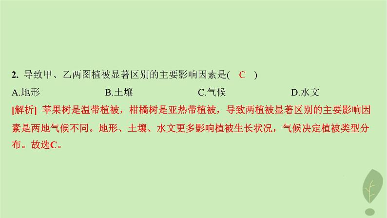 江苏专版2023_2024学年新教材高中地理第二单元从地球圈层看地表环境第三节生物圈与植被分层作业课件鲁教版必修第一册04