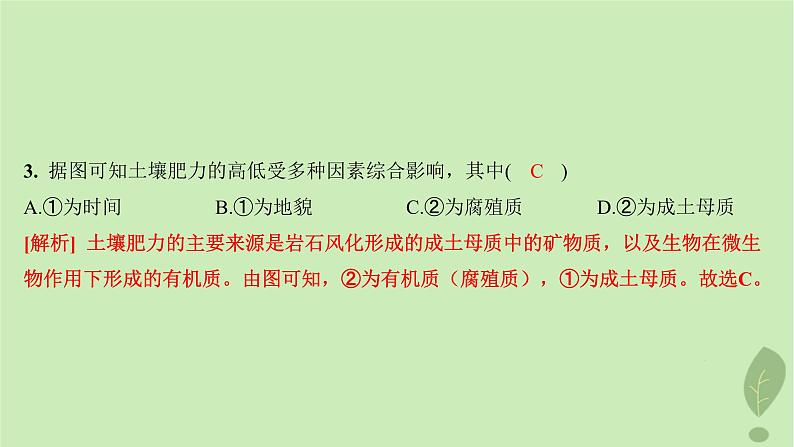 江苏专版2023_2024学年新教材高中地理第三单元从圈层作用看地貌与土壤第四节分析土壤形成的原因分层作业课件鲁教版必修第一册06