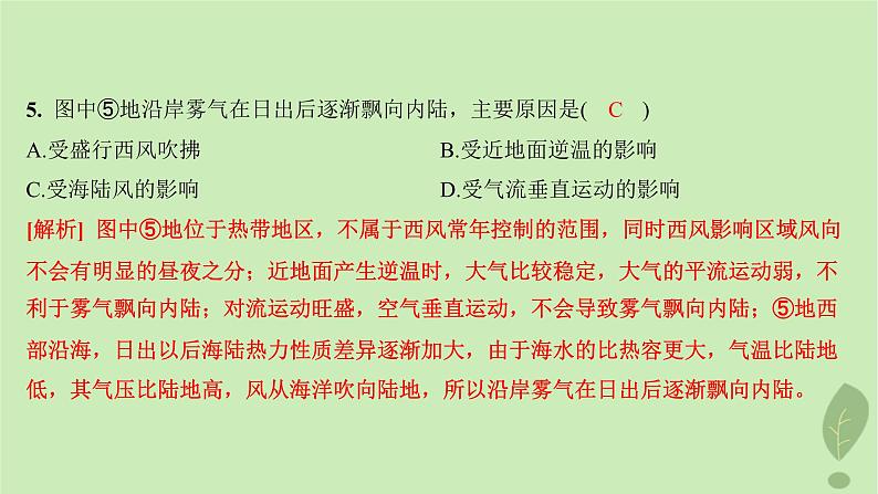 江苏专版2023_2024学年新教材高中地理第三单元大气变化的效应单元活动分析判断气候类型分层作业课件鲁教版选择性必修108