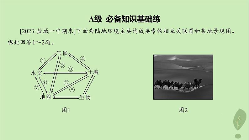 江苏专版2023_2024学年新教材高中地理第五单元自然环境的特征第二节自然环境的整体性分层作业课件鲁教版选择性必修103