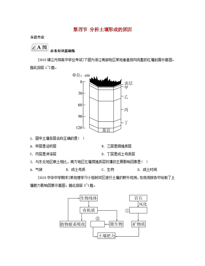 2023_2024学年新教材高中地理第三单元从圈层作用看地貌与土壤第四节分析土壤形成的原因分层作业鲁教版必修第一册01