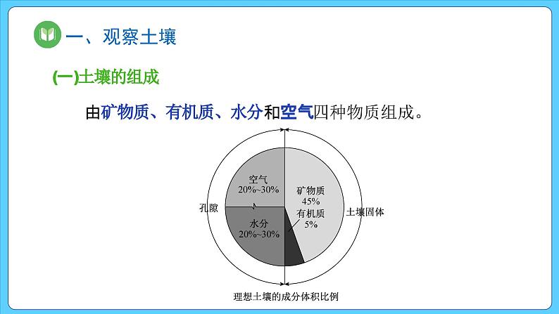 5.2 土壤（课件） 2023-2024学年高中地理人教版(2019)必修一06