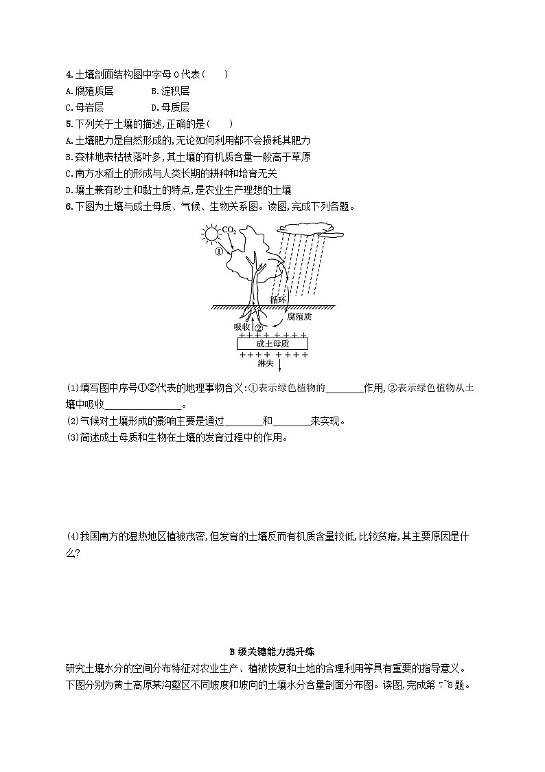 新教材2023_2024学年高中地理第2章自然地理要素及现象第6节土壤的主要形成因素分层作业中图版必修第一册第2页