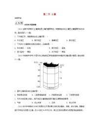 高中地理人教版 (2019)必修 第一册第二节 土壤同步测试题