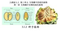 高中地理第三节 地球的历史授课课件ppt