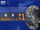 5.1+植被-2023-2024学年高一地理同步优质课件（人教版2019必修第一册）