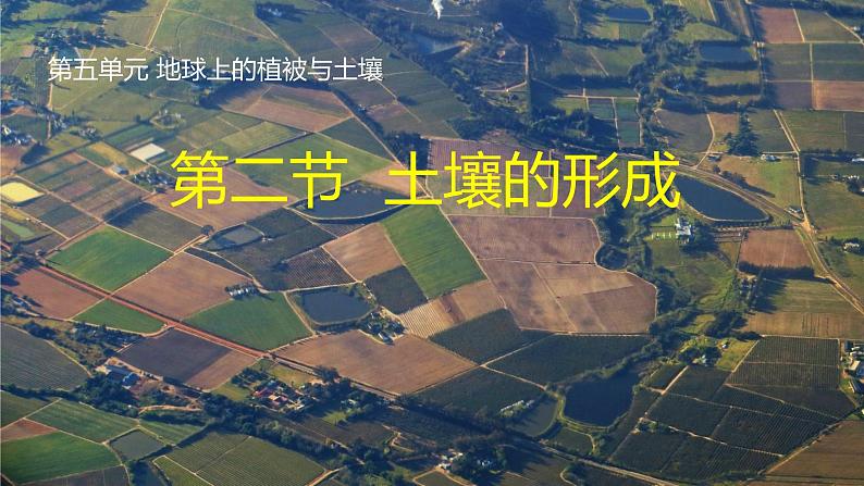 5.2+土壤的形成-【新课标教学】2023-2024学年高一地理上学期同步教学课件（湘教版2019必修第一册）第1页