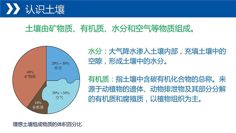 5.2+土壤的形成-【新课标教学】2023-2024学年高一地理上学期同步教学课件（湘教版2019必修第一册）第8页