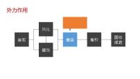 高中地理第一节 塑造地表形态的力量教学ppt课件