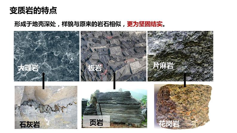 2.1.4+塑造地表形态的力量（第4课时+岩石圈的物质循环）-2023-2024学年高二地理同步教学课件（人教版2019选择性必修1）第8页
